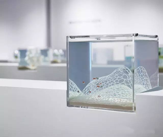 精美3d打印創意作品圖片欣賞 你見過3D打印的魚缸么?