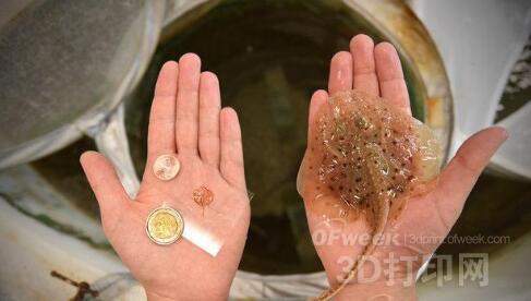 近期這四大3D打印產業驚人的成果有望改變你的生活.jpg