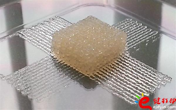 3d打印的材料有哪些,新型3d打印材料,3d打印材料價格,3d打印墨水,生物3D打印